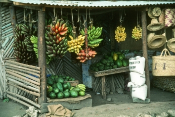 Obststand unterwegs in Tansania